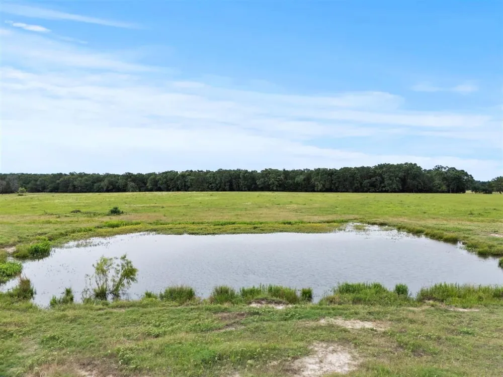 VZ CR 4607 ROAD Ben Wheeler, TX 75754