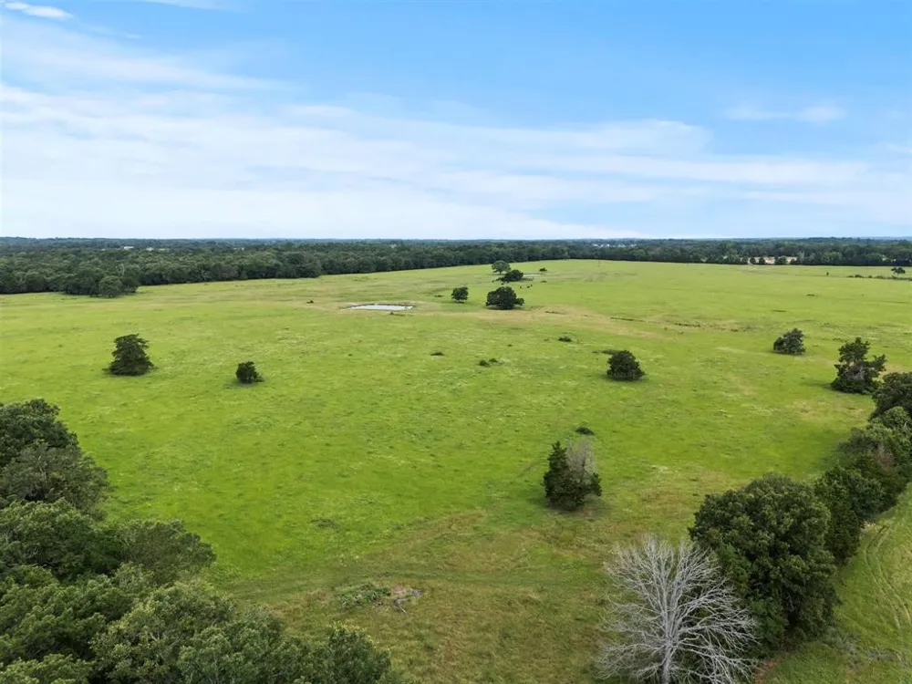 VZ CR 4607 ROAD Ben Wheeler, TX 75754
