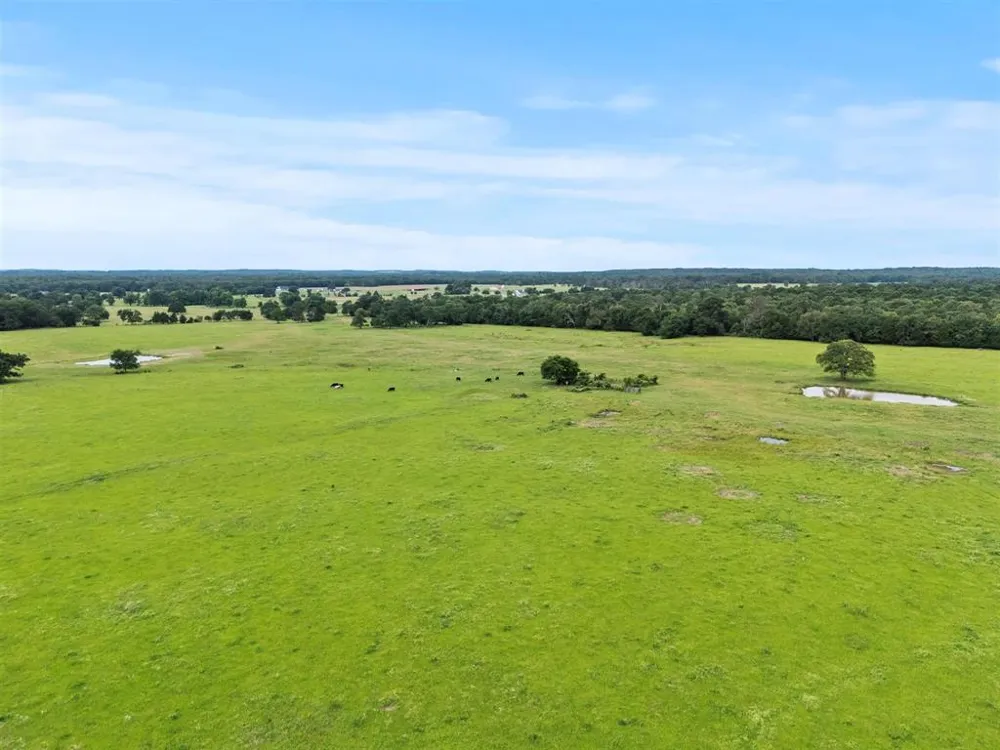 VZ CR 4607 ROAD Ben Wheeler, TX 75754
