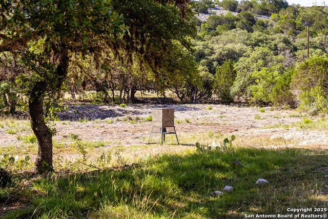 14910 Bullhead Rd Rocksprings, TX 78880