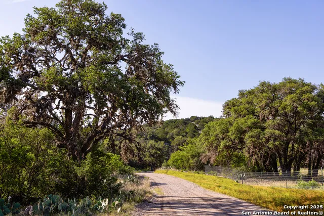 14910 Bullhead Rd Rocksprings, TX 78880