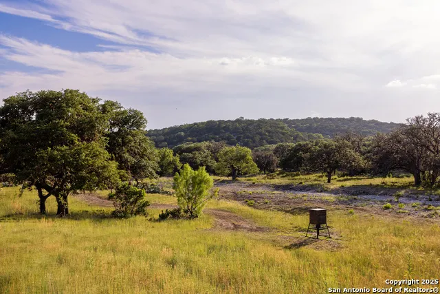 14910 Bullhead Rd Rocksprings, TX 78880