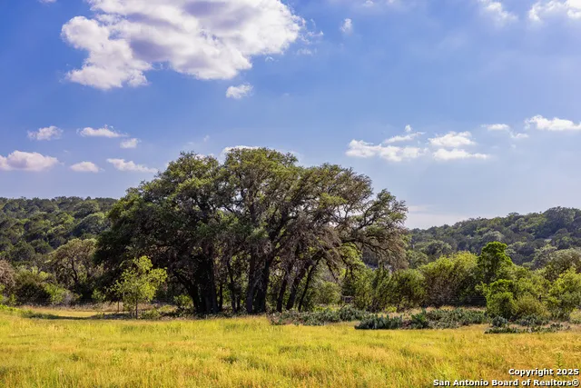 14910 Bullhead Rd Rocksprings, TX 78880