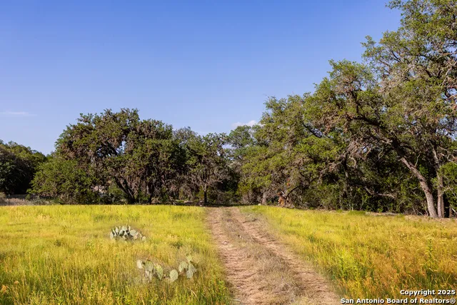 14910 Bullhead Rd Rocksprings, TX 78880