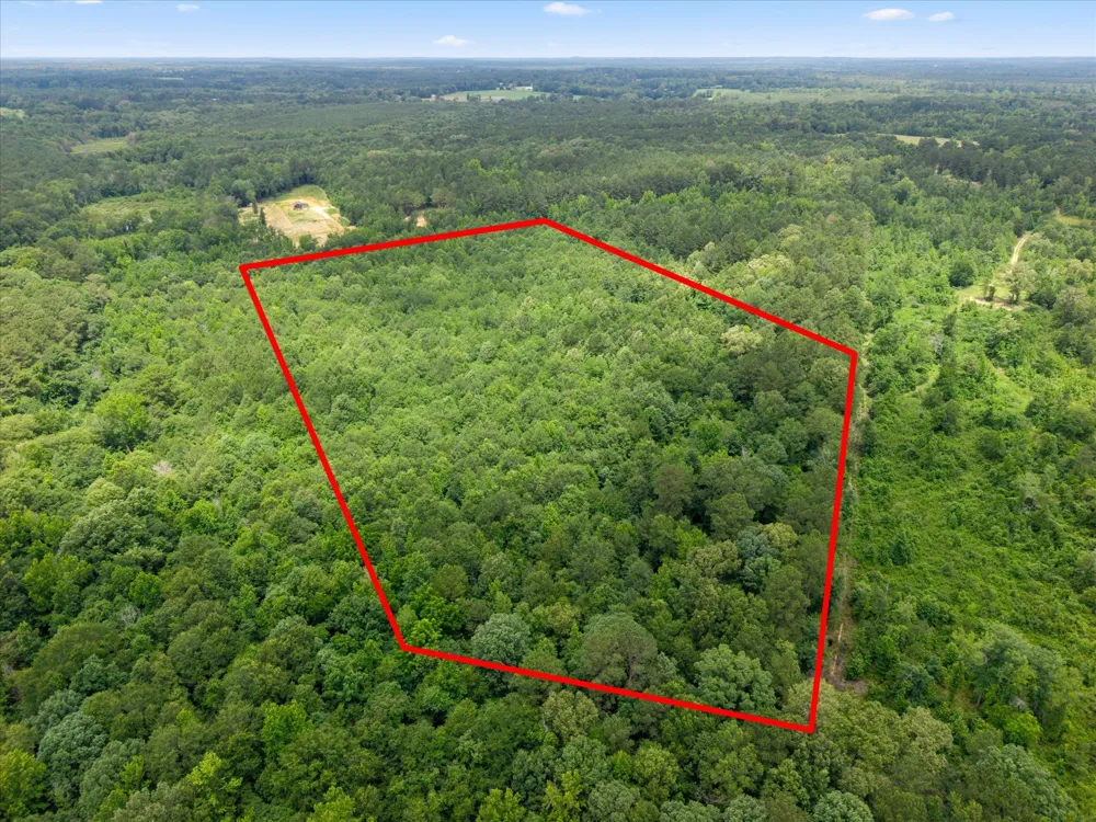 FM 130 Hughes Springs, TX 75656