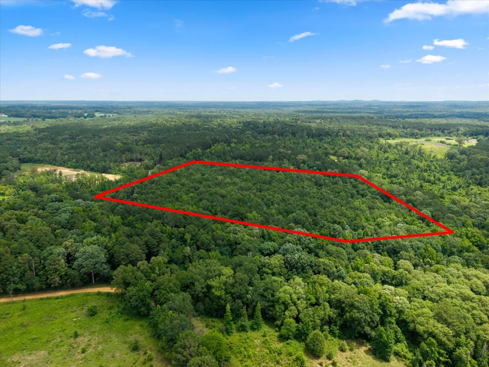 FM 130 Hughes Springs, TX 75656