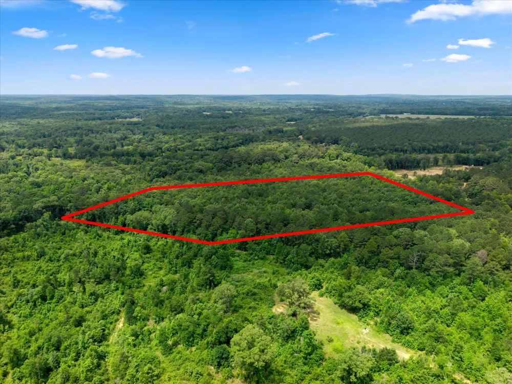 FM 130 Hughes Springs, TX 75656