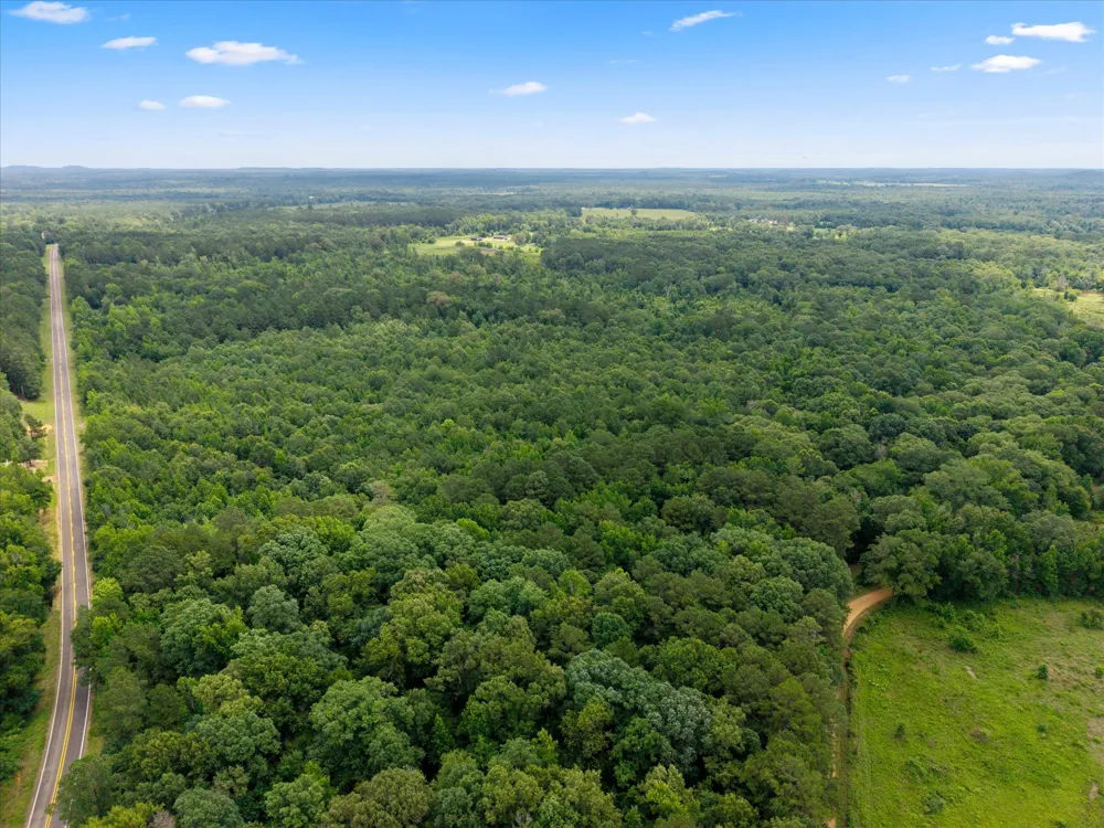 FM 130 Hughes Springs, TX 75656