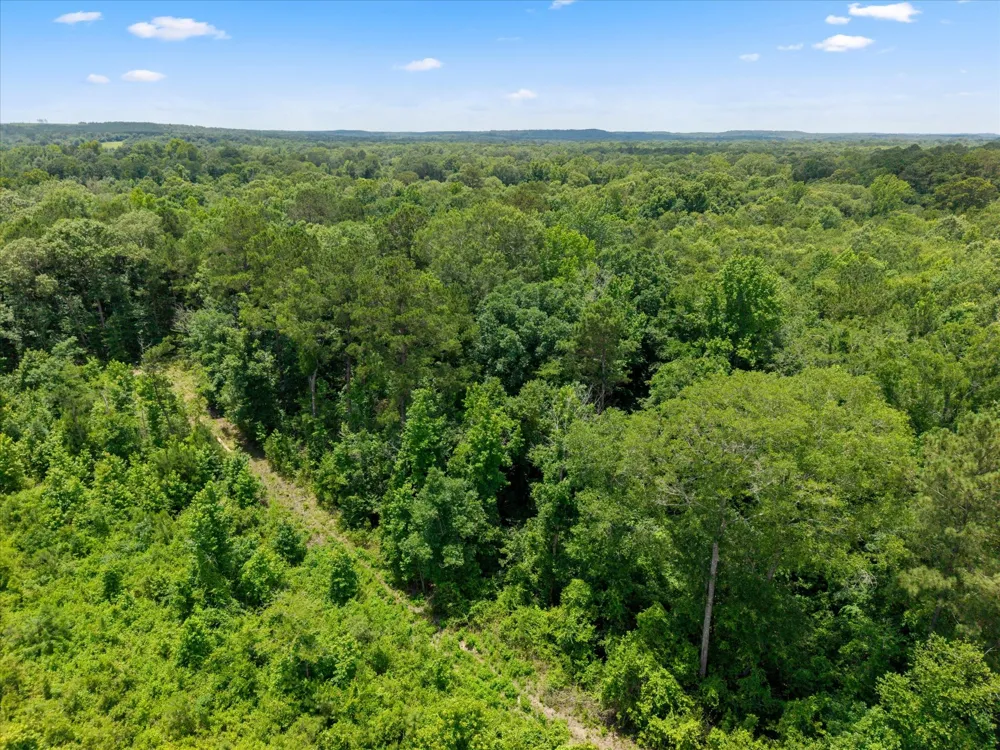FM 130 Hughes Springs, TX 75656