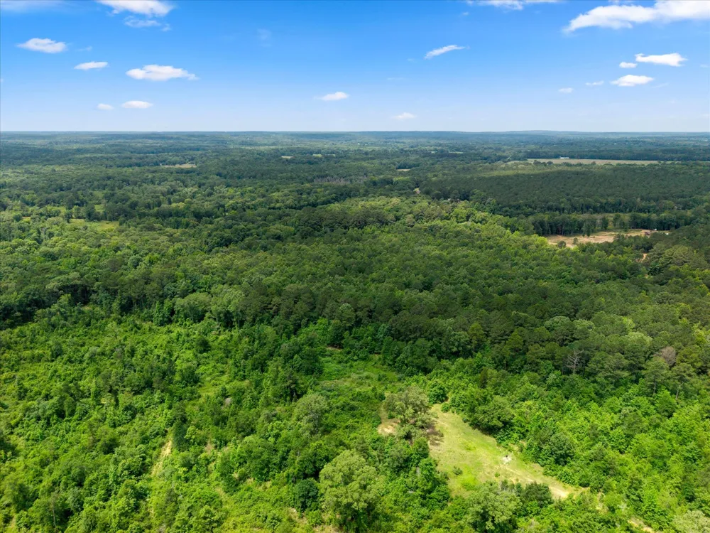 FM 130 Hughes Springs, TX 75656
