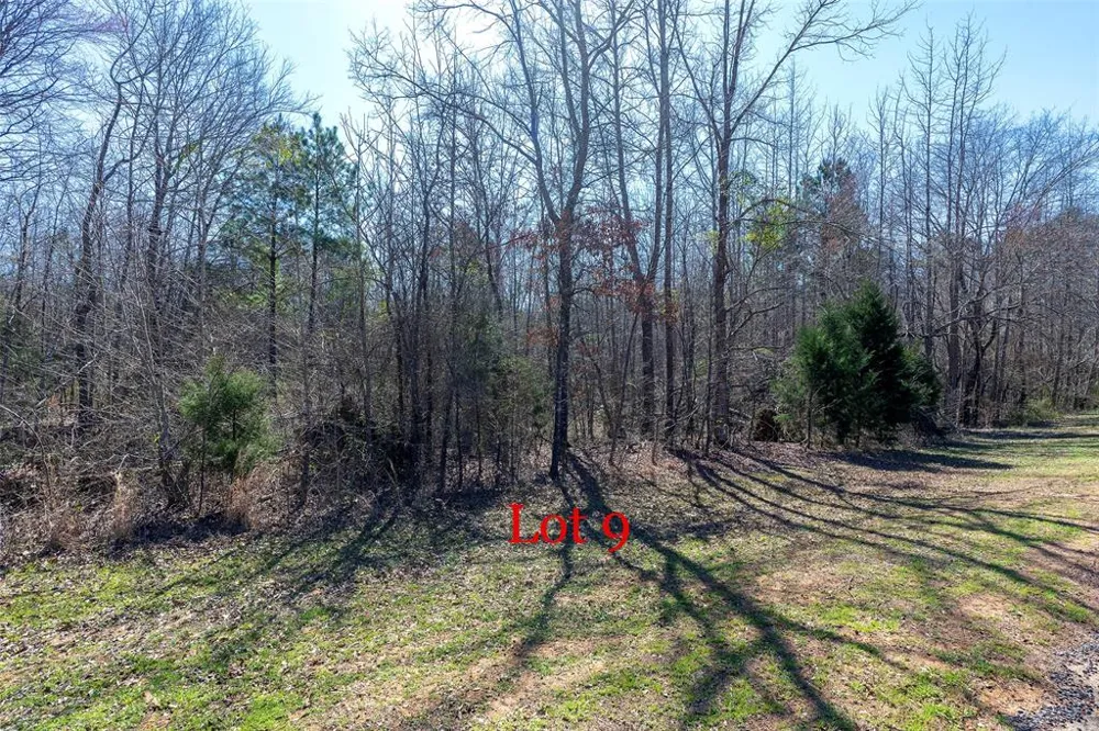 FM 130 Hughes Springs, TX 75656