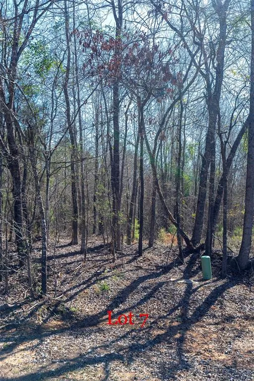 FM 130 Hughes Springs, TX 75656