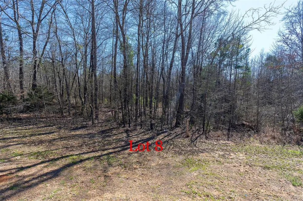 FM 130 Hughes Springs, TX 75656