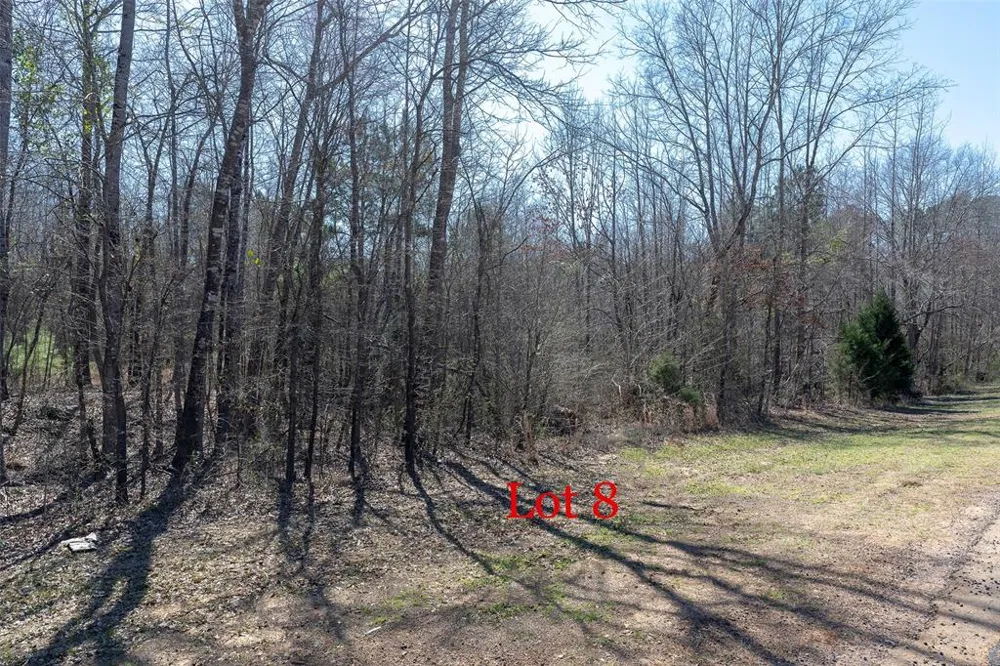 FM 130 Hughes Springs, TX 75656
