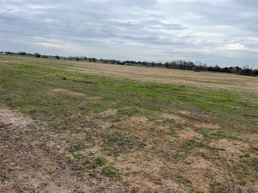 NE County Road 1010 Lot #1 Rice, TX 75155