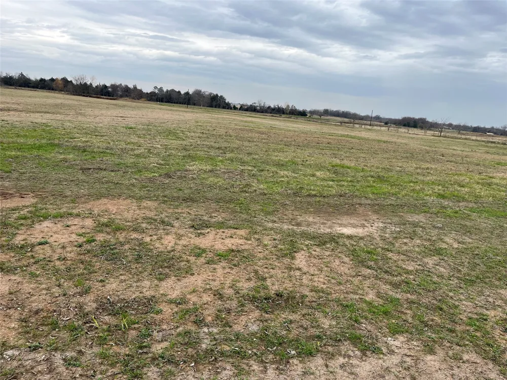 NE County Road 1010 Lot #1 Rice, TX 75155