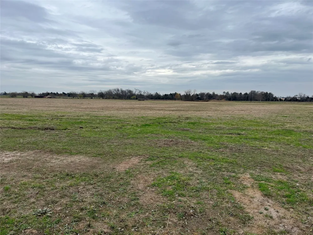 NE County Road 1010 Lot #1 Rice, TX 75155
