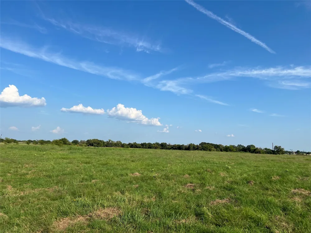 NE County Road 1010 Lot #1 Rice, TX 75155