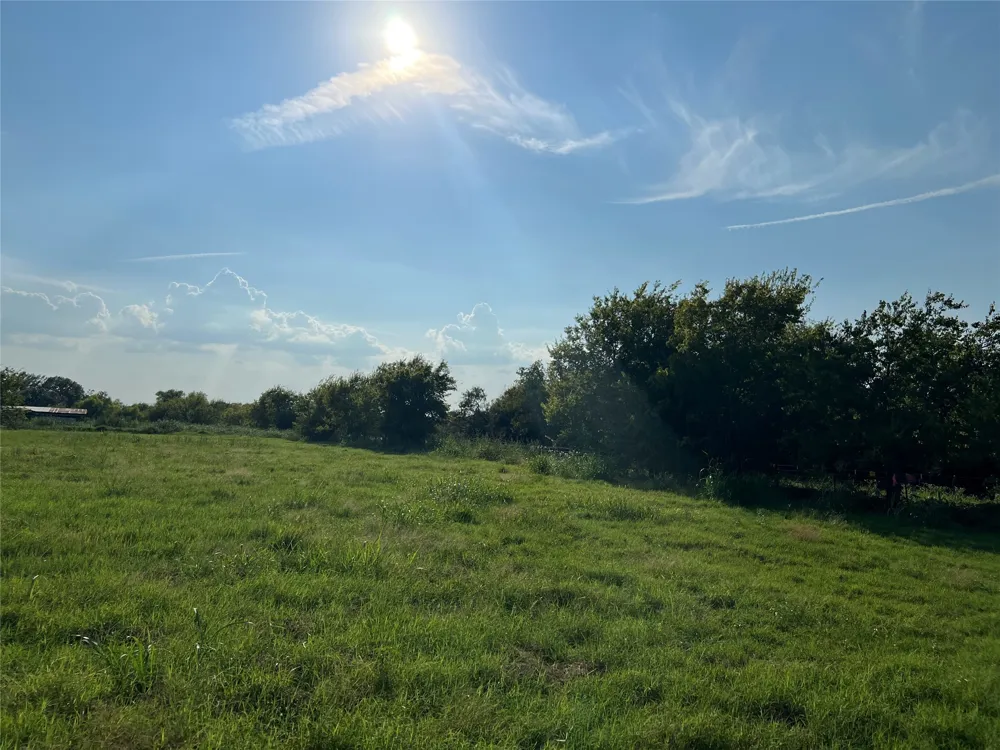 NE County Road 1010 Lot #1 Rice, TX 75155