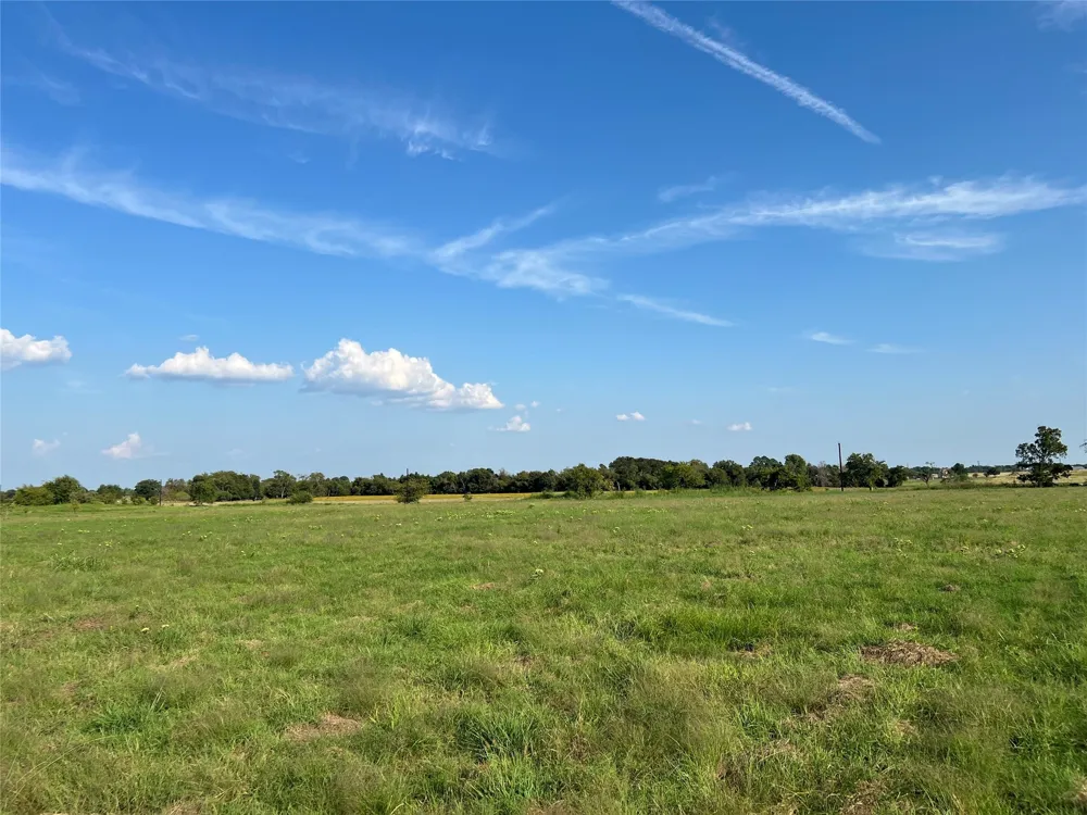 NE County Road 1010 Lot #1 Rice, TX 75155