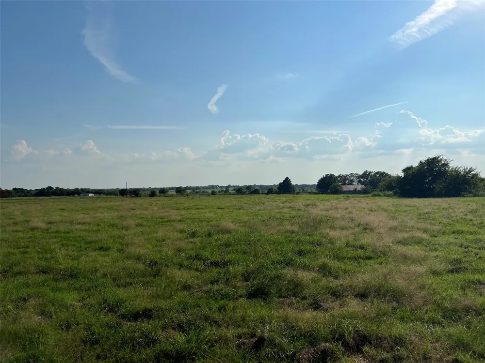 NE County Road 1010 Lot #1 Rice, TX 75155