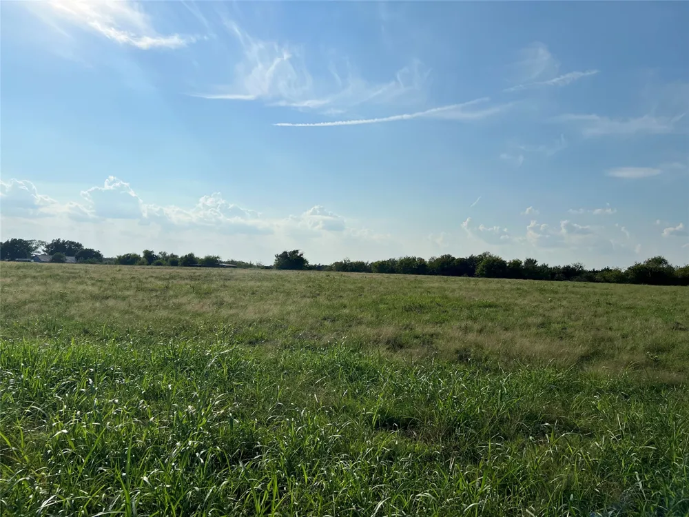NE County Road 1010 Lot #1 Rice, TX 75155