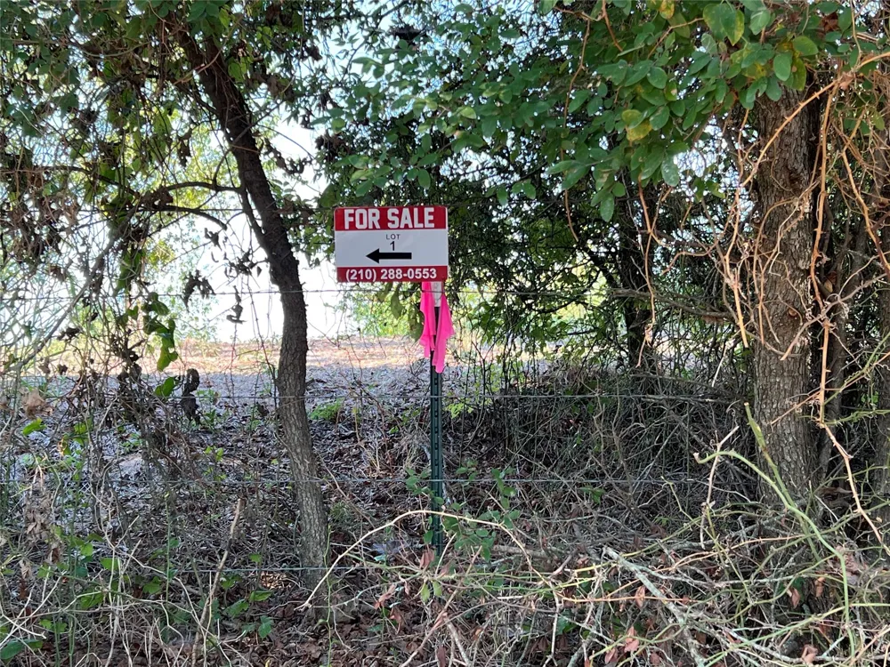 NE County Road 1010 Lot #1 Rice, TX 75155