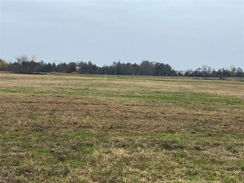 NE County Road 1010 Lot #1 Rice, TX 75155