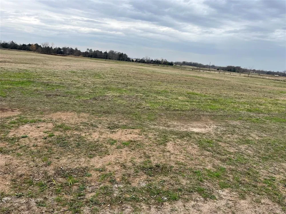 NE County Road 1010 Lot #1 Rice, TX 75155