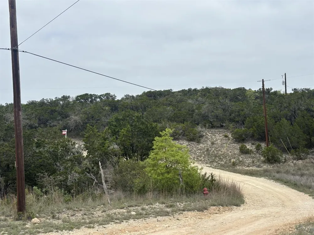 Adrian Way Leander, TX 78645