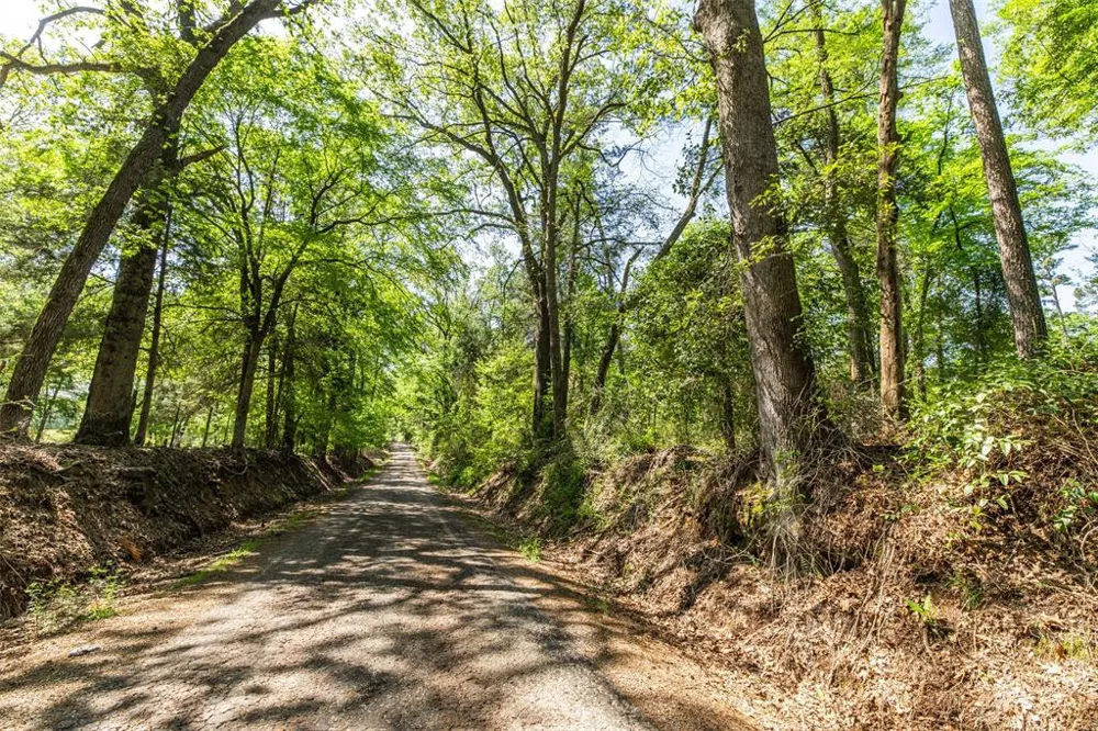 1 County Road 3322 Leesburg, TX 75451