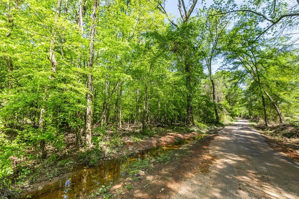 1 County Road 3322 Leesburg, TX 75451