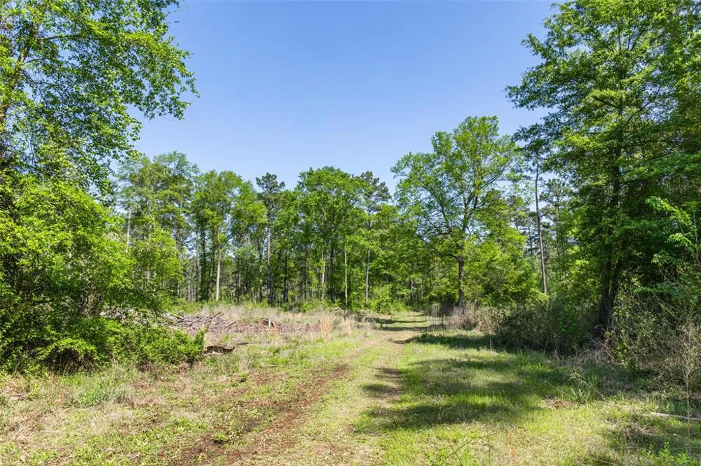 1 County Road 3322 Leesburg, TX 75451