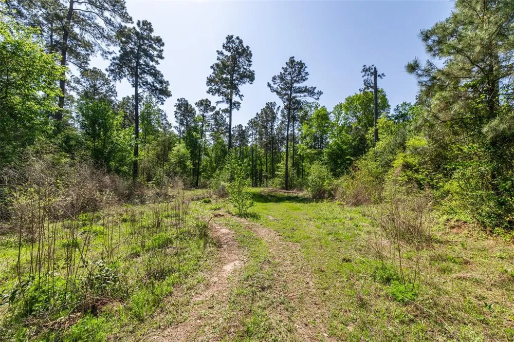 1 County Road 3322 Leesburg, TX 75451