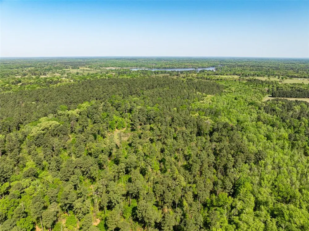 1 County Road 3322 Leesburg, TX 75451