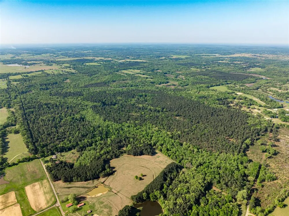 1 County Road 3322 Leesburg, TX 75451