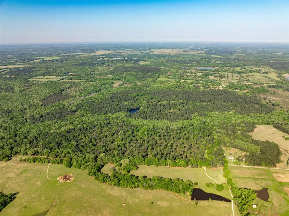1 County Road 3322 Leesburg, TX 75451