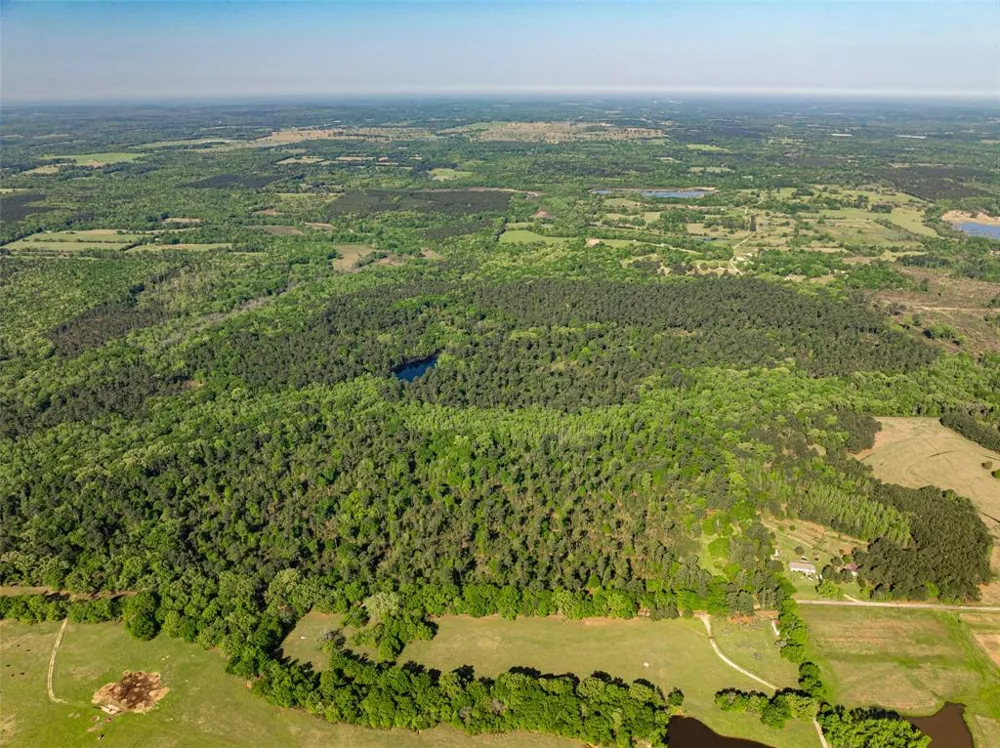 1 County Road 3322 Leesburg, TX 75451