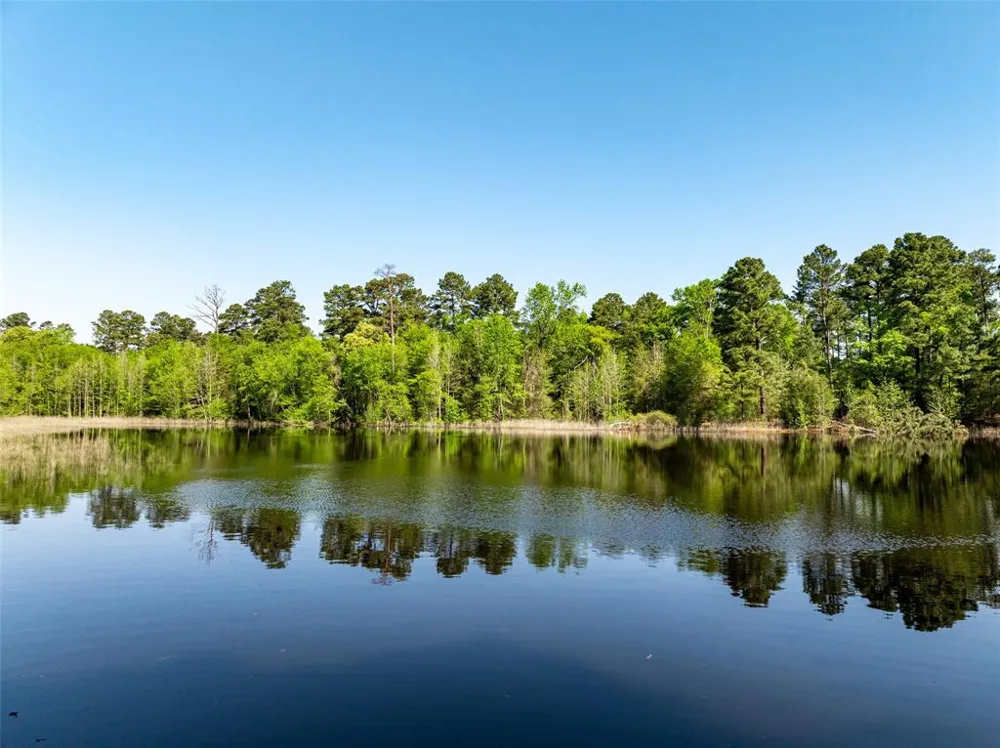 1 County Road 3322 Leesburg, TX 75451