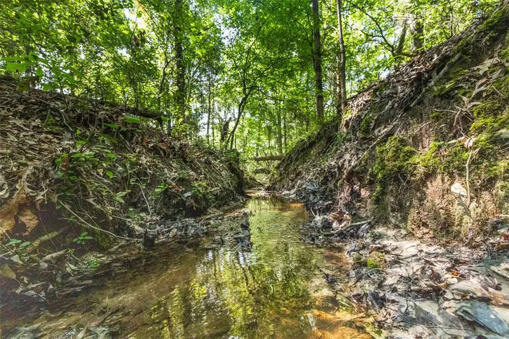 1 County Road 3322 Leesburg, TX 75451