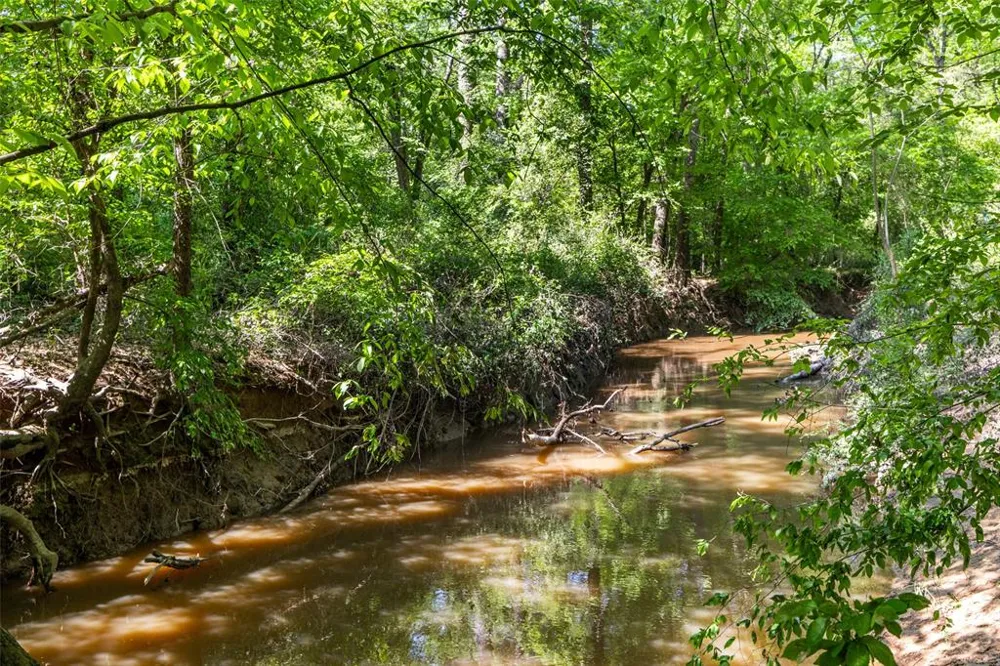 1 County Road 3322 Leesburg, TX 75451