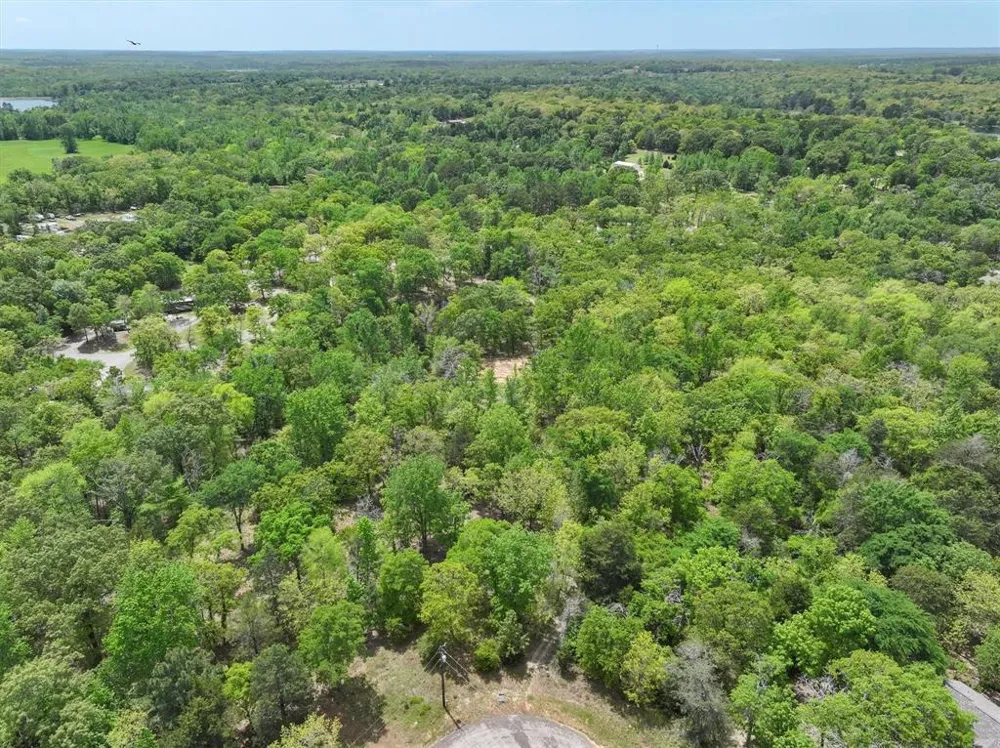 8950 Timber Ridge Larue, TX 75770