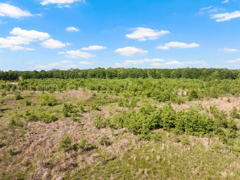 2363 NW County Road 1050 Talco, TX 75487