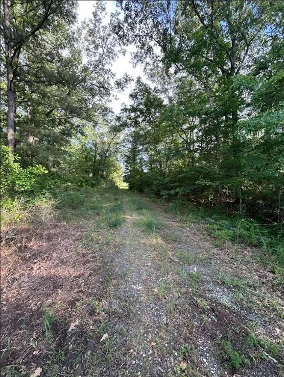 Grand Cane Fire Tower Road Grand Cane, LA 71032