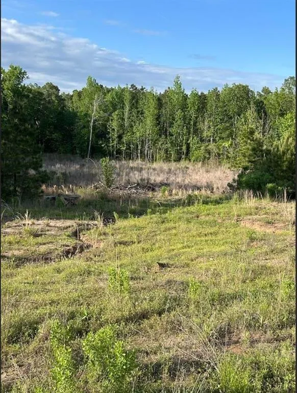 Grand Cane Fire Tower Road Grand Cane, LA 71032