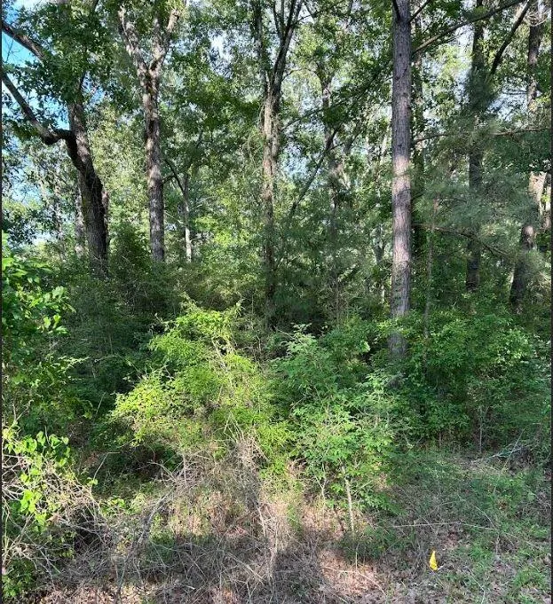 Grand Cane Fire Tower Road Grand Cane, LA 71032