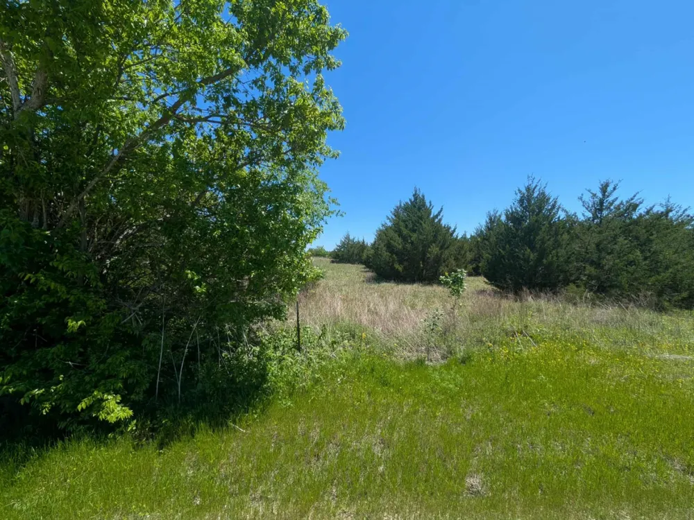 11008 County Road 670 Blue Ridge, TX 75424
