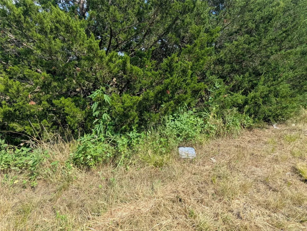 11008 County Road 670 Blue Ridge, TX 75424