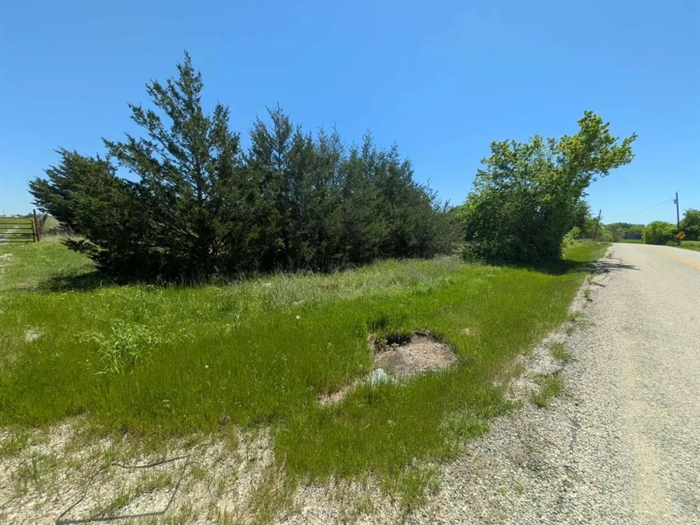 11008 County Road 670 Blue Ridge, TX 75424