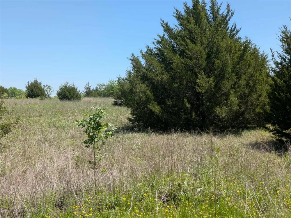 11008 County Road 670 Blue Ridge, TX 75424
